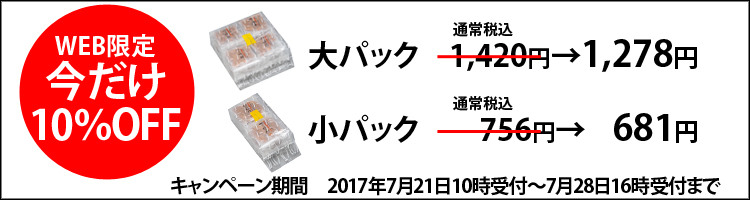WEB限定!大つぶ柿の種SALE