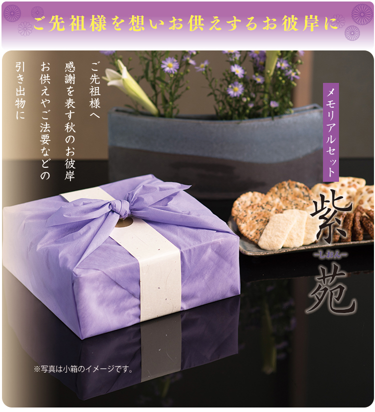 メモリアルセット紫苑