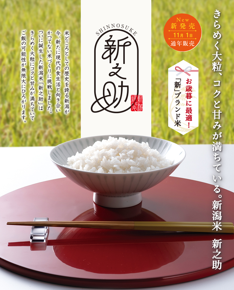 新之助(白米)
