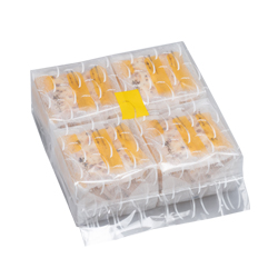 �z�T�������@��p�b�N�@28��