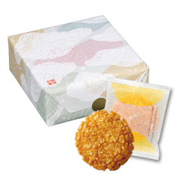 �����g���@�����@24��