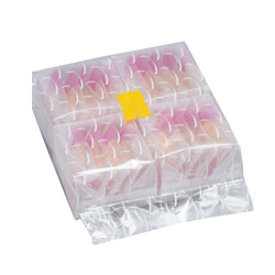 �g�����@��p�b�N�@20��