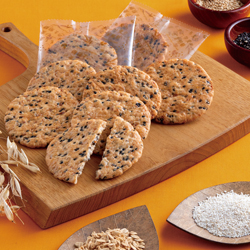 �������ƃI�[�c���̂��ܐ��݁@��p�܁^9����