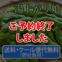 �����E�N�[���֑㖳���i���Е��S�j�@�}���y���オ�薺�z1.2Kg(300g×4��)�@7�����{�`���{������