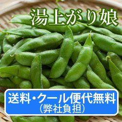 送料・クール便代無料(弊社負担) 枝豆【湯上がり娘】1.2Kg(300g×4袋) 7月中旬〜下旬頃発送