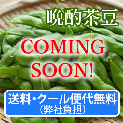 �����E�N�[���֑㖳���i���Е��S�j�@�}���y�ӎޒ����z1.2Kg(300g×4��)�@8�����{�`��������