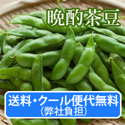 �����E�N�[���֑㖳���i���Е��S�j�@�}���y�ӎޒ����z1.2Kg(300g×4��)�@8�����{�`��������