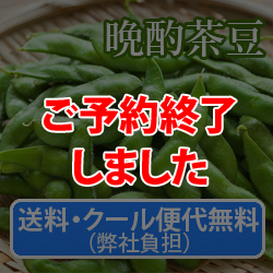 �����E�N�[���֑㖳���i���Е��S�j�@�}���y�ӎޒ����z1.2Kg(300g×4��)�@8�����{�`��������