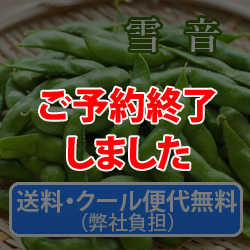 �����E�N�[���֑㖳���i���Е��S�j�@�}���y�ቹ�z1.2Kg(300g×4��)�@9�����{�`���{������