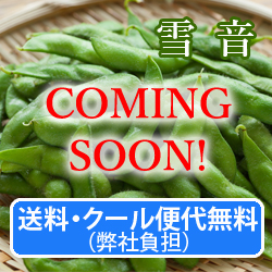 �����E�N�[���֑㖳���i���Е��S�j�@�}���y�ቹ�z1.2Kg(300g×4��)�@9�����{�`���{������