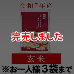 令和7年産 特別栽培米コシヒカリ(玄米) 袋(5kg入)