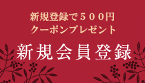 �����ȉ�����T������ �V�K����o�^