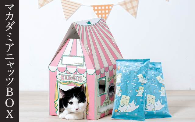 �}�J�_�~�A�j���b�cBOX