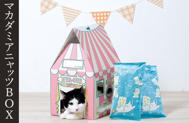 �}�J�_�~�A�j���b�cBOX