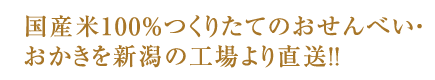 Y100 肽Ăׂ̂EV̍H蒼II