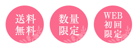 @ʌ@WEB