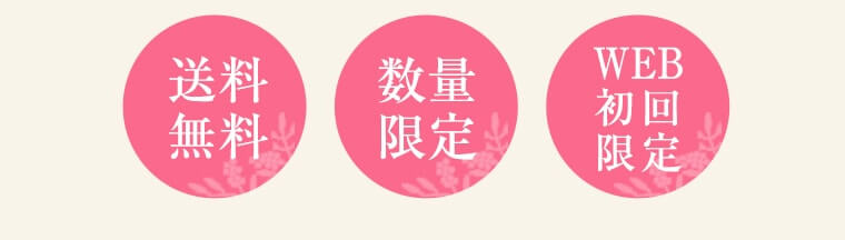 @ʌ@WEB