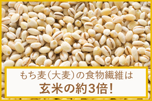 おせんべい おかきの通信販売 もち麦ごません 新潟味のれん本舗 おせんべい おかきの通信販売 もち麦ごません 新潟味のれん本舗