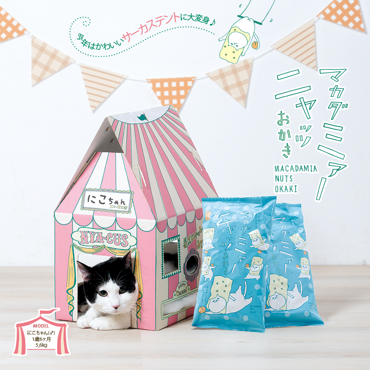 �}�J�_�~�A�j���b�cBOX