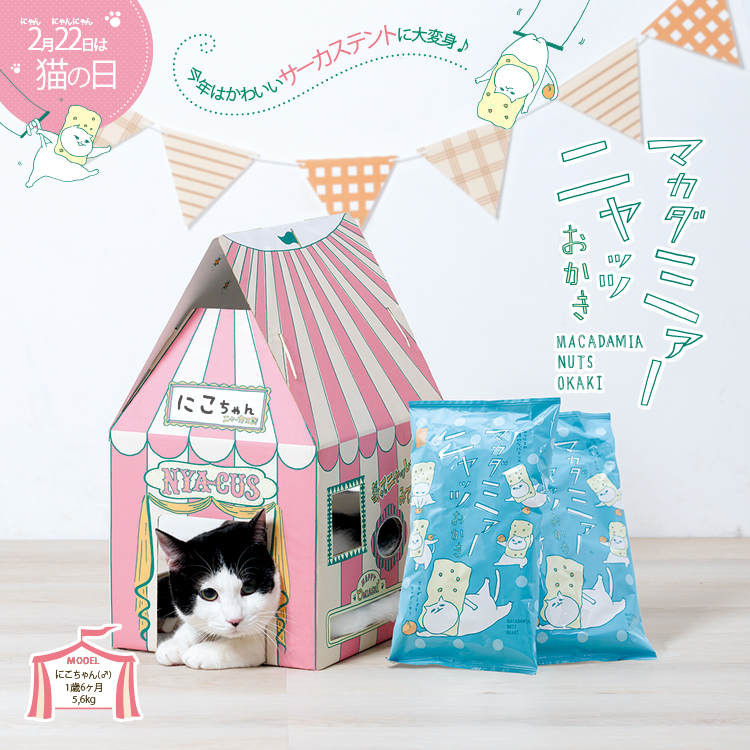 �}�J�_�~�A�j���b�cBOX