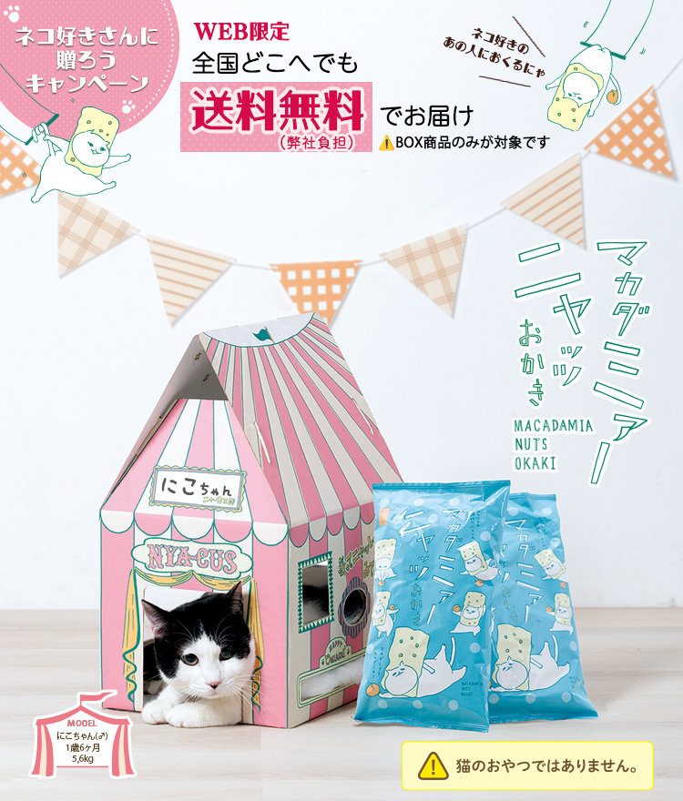 ���������}�J�_�~�A�j���b�cBOX