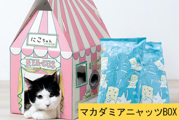 マカダミアニャッツBOX