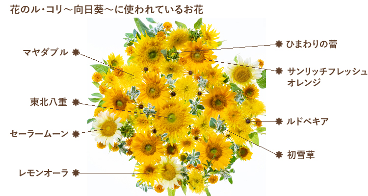 おせんべい・おかき 詰合せ「花のル・コリ～向日葵～」｜おせんべい