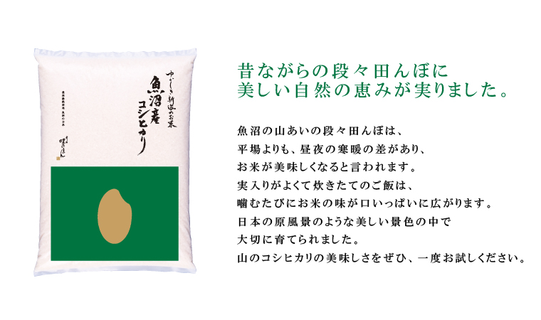 魚沼産コシヒカリ