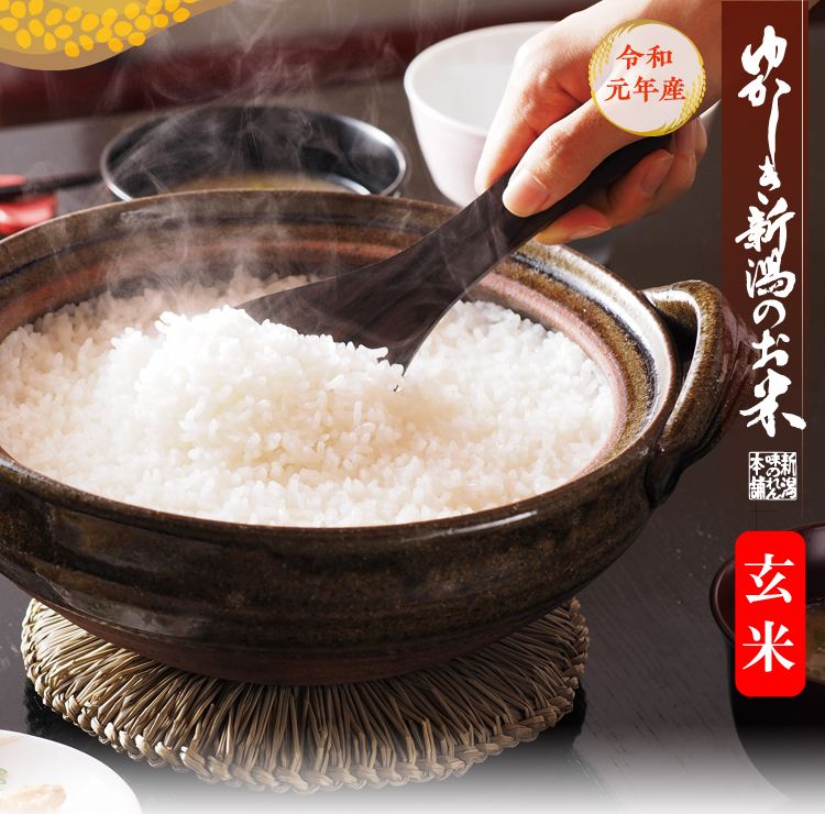 特別栽培米コシヒカリ(玄米)