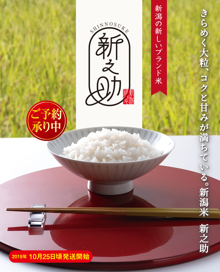 新之助(白米)