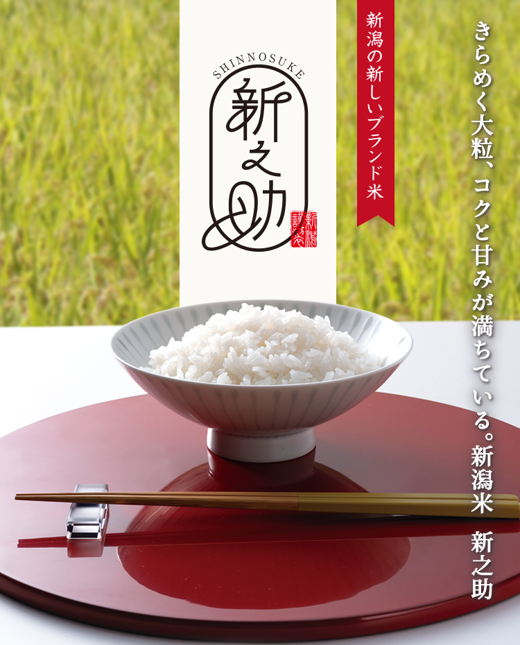 新之助(白米)