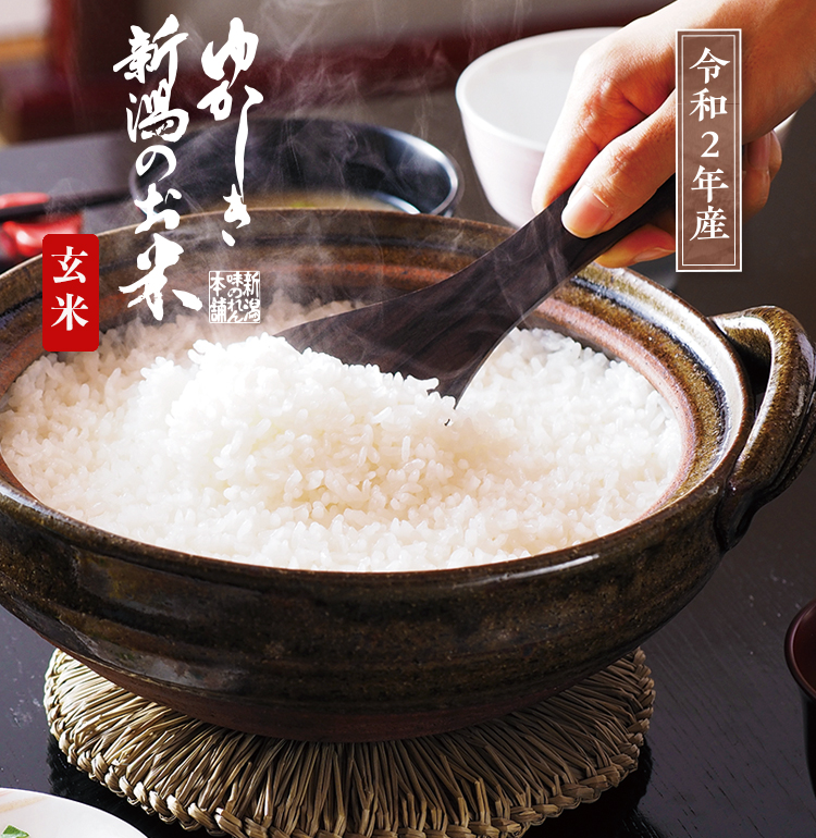 特別栽培米コシヒカリ(玄米)