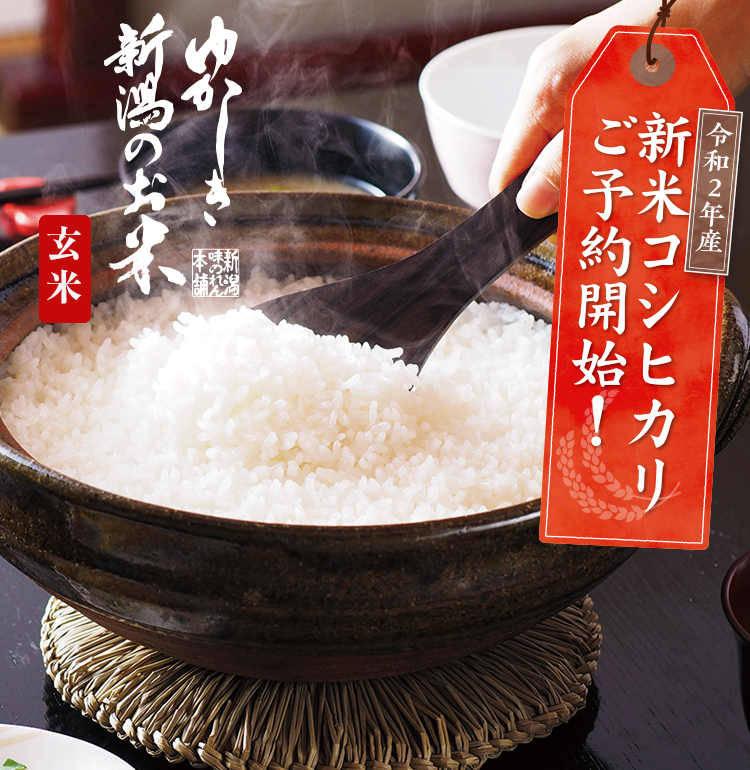 特別栽培米コシヒカリ(玄米)