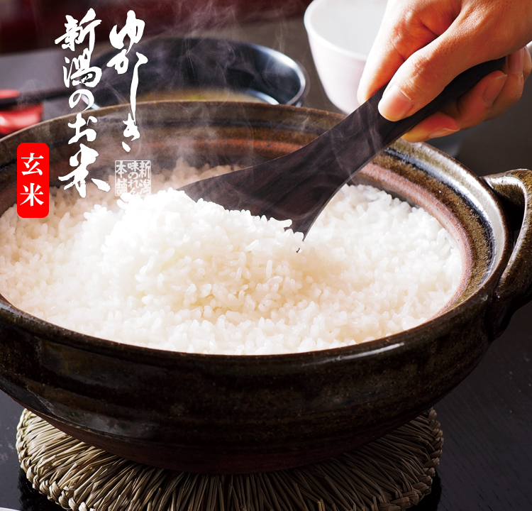 特別栽培米コシヒカリ（玄米）