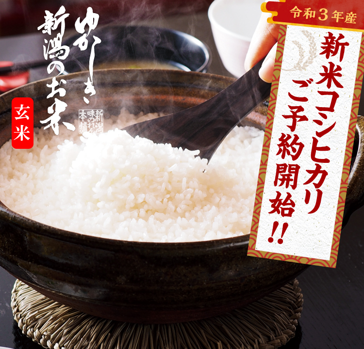 特別栽培米コシヒカリ(玄米)