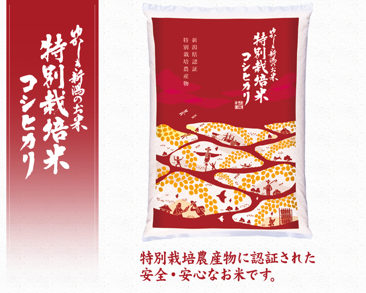 新潟県産コシヒカリ（白米）5Kg 令和5年産 特別栽培米｜おせんべい