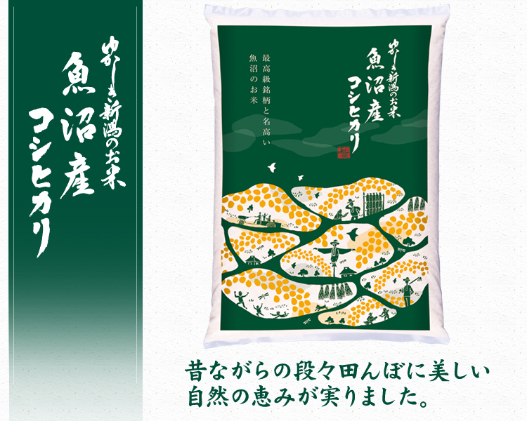 食べ比べ「極み」令和5年産新潟新之助　魚沼産コシヒカリ白米5kg各1個10キロ新潟