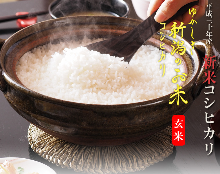 特別栽培米コシヒカリ(玄米)