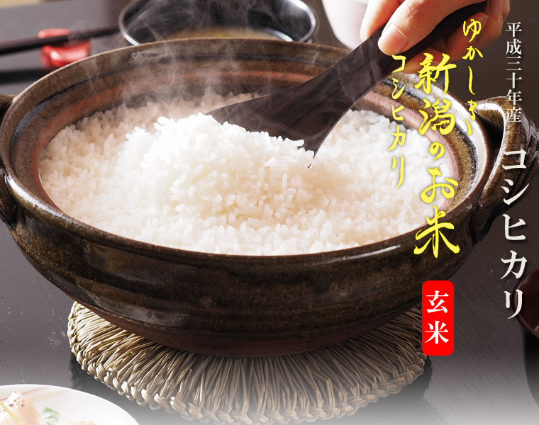 特別栽培米コシヒカリ(玄米)