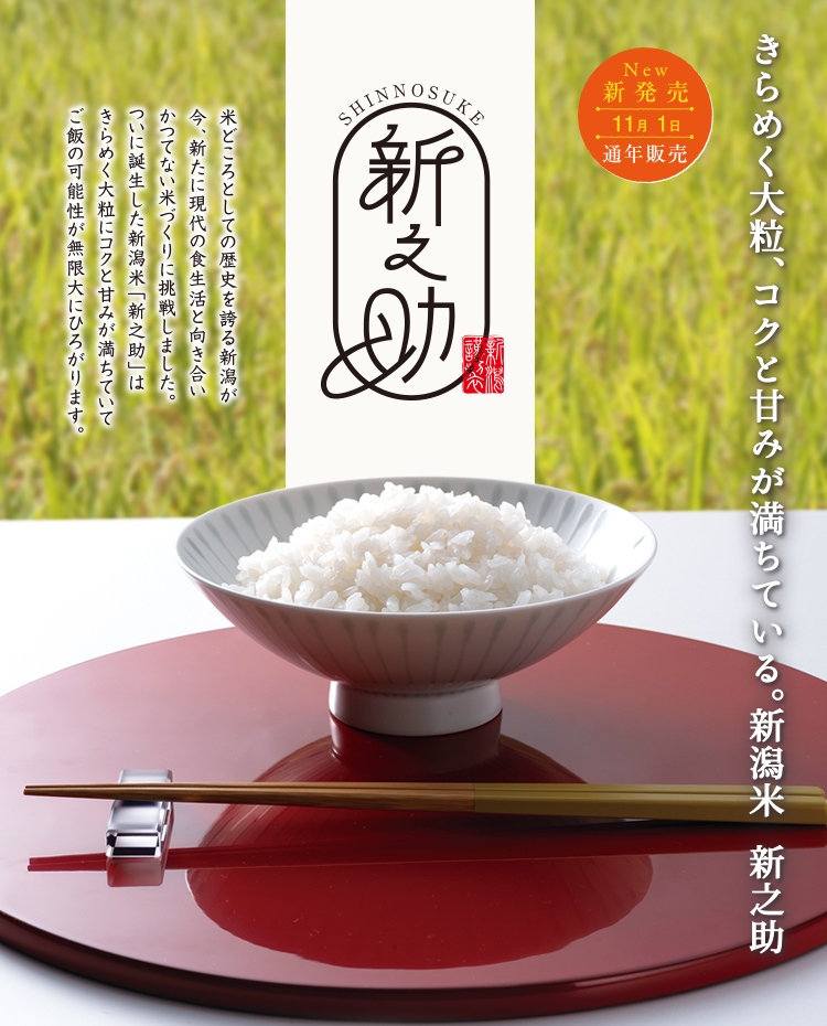 新之助(白米)