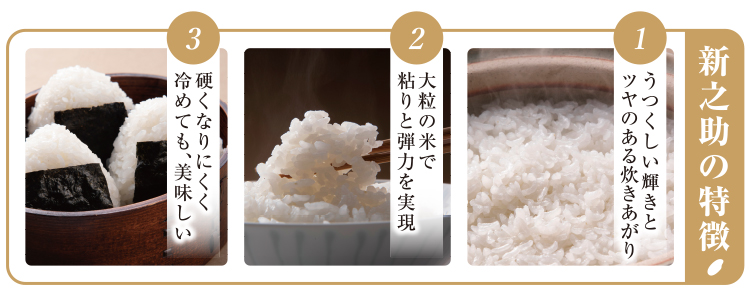 新之助(白米)2
