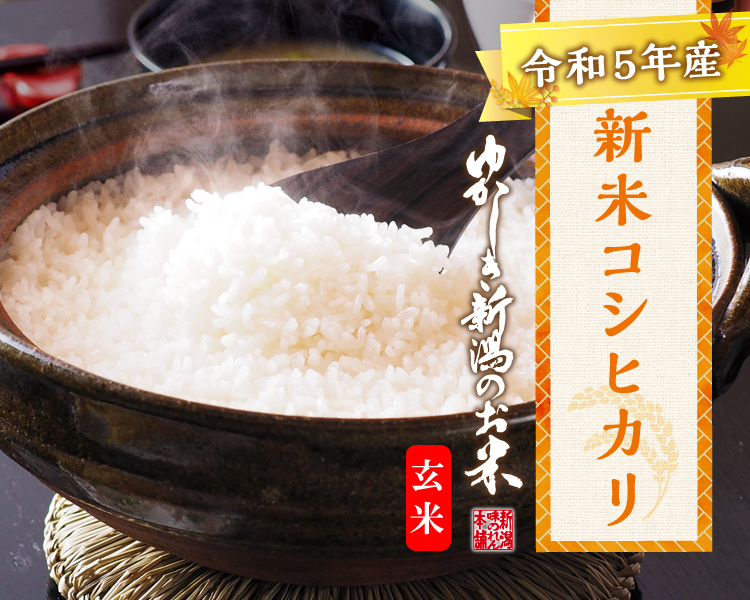 新米・令和5年産新潟コシヒカリ 白米5kg×4個☆農家直送☆色彩選別済27 - 米