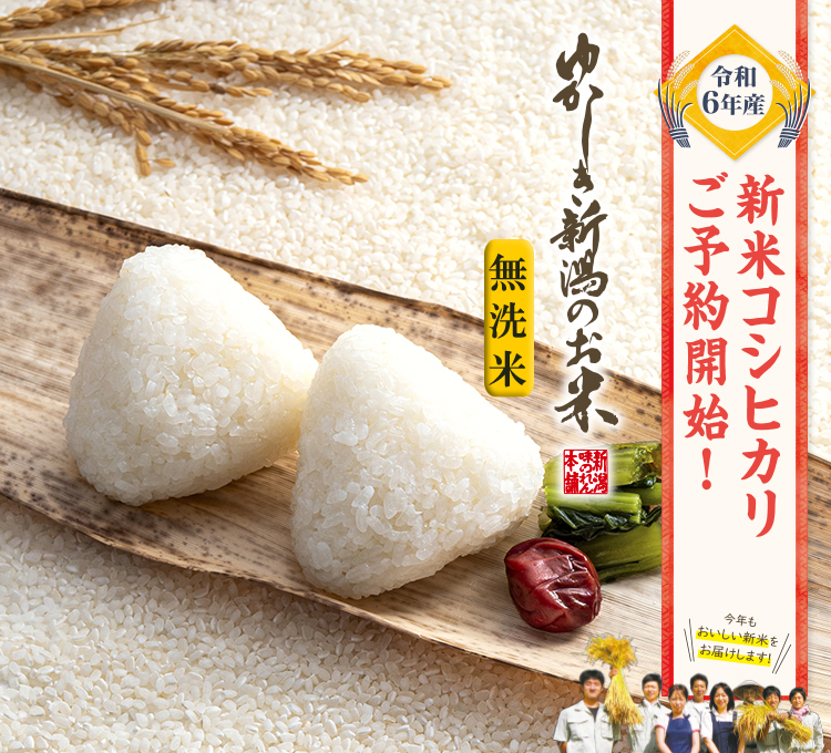 ⚠️ ホウレンソウ6号様専用⚠️茨城県産 新米 コシヒカリ 玄米